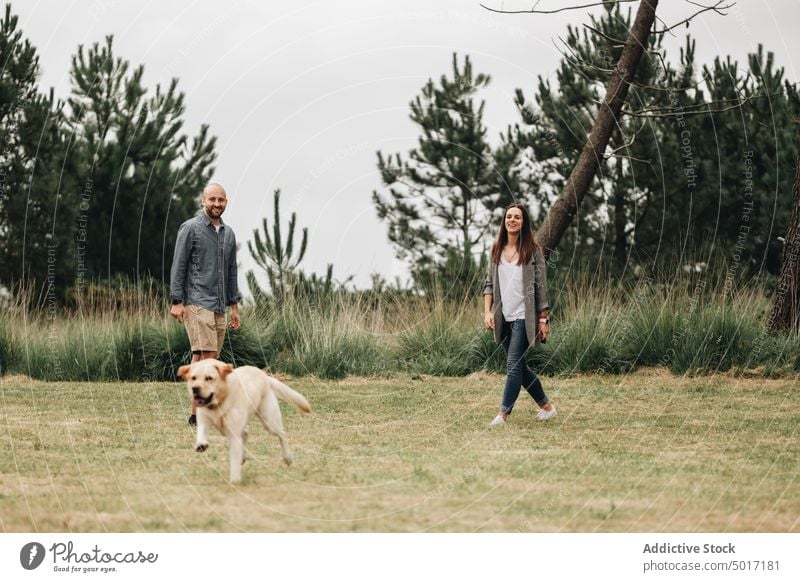 Man and woman playing with dog in the park stick jump game playful fun happy pet nature green animal labrador domestic retriever joyful together friendship