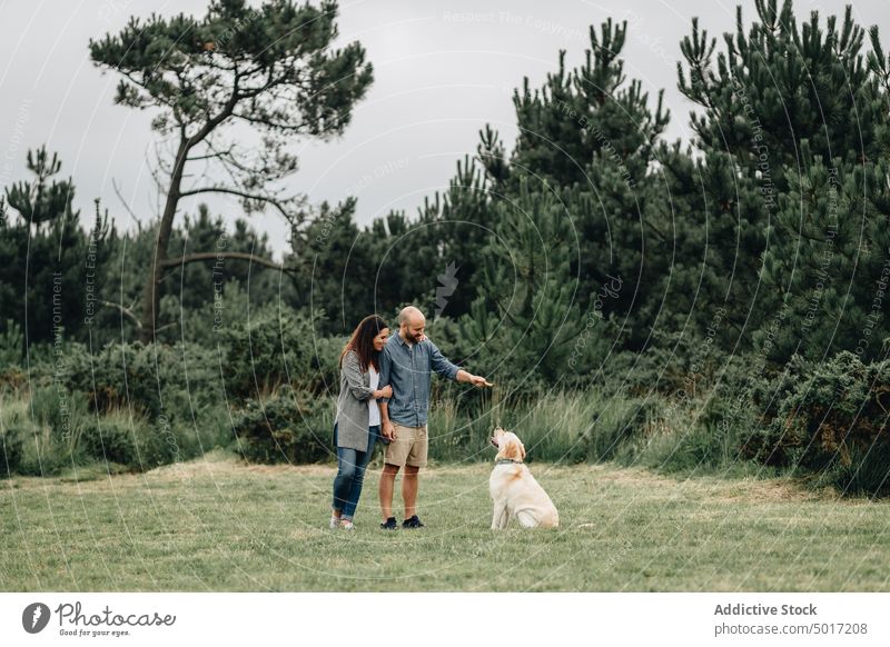 Man and woman holding stick and playing with dog jumping high game playful park fun happy pet nature green animal labrador domestic retriever joyful together