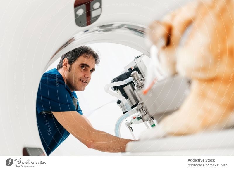 Veterinary doctor preparing dog for tomography examination in cl man veterinary uniform specialist clinic treat hospital care medicine prepare equipment examine