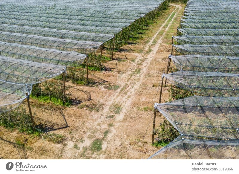 Hail net over apple and pears trees from the air - background agriculture Belt compost farm farming feed fertilizer field fruit garden green growing hail hill