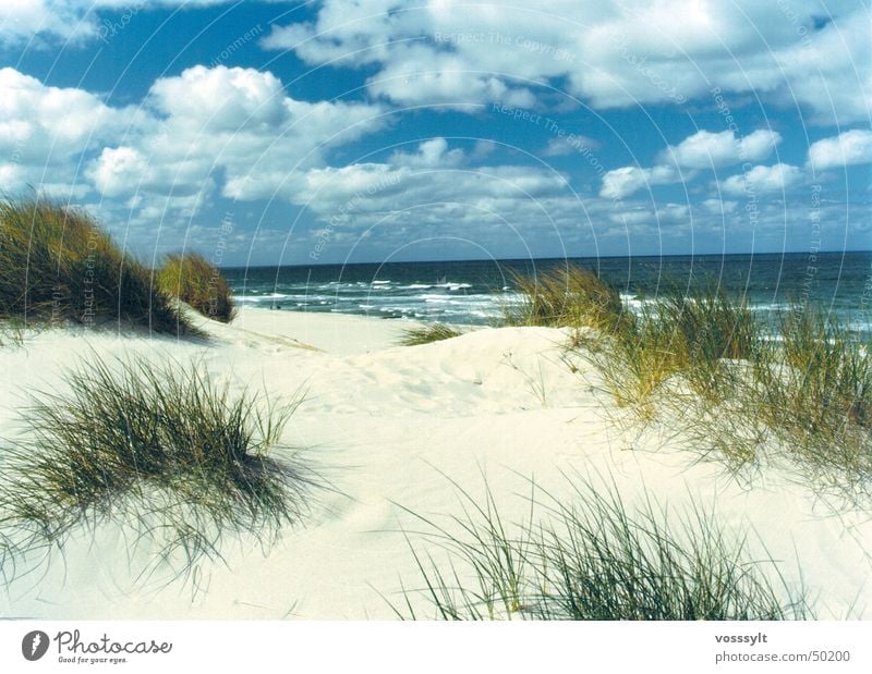 Lister Dunes Beach Sky Beach dune most beautiful place on sylt Scan