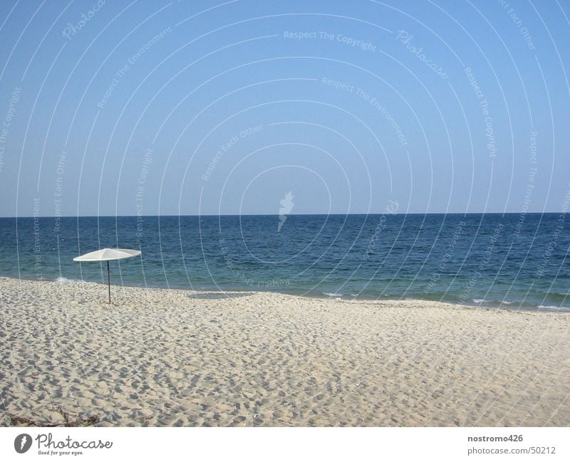 at the beach Beach tunisia sea shore Sand