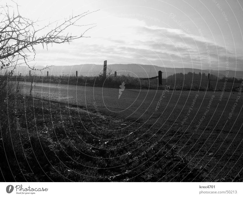 Eifel road Back-light Loneliness Meadow Pothole Footpath Narrow Dazzle Autumn Far-off places Exterior shot Nature Street Black & white photo Sun Landscape Sky