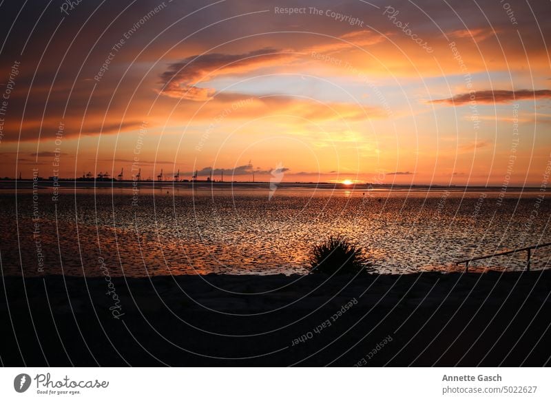 orange sunset Ocean Sunset North Sea Mud flats watt Beach coast Nature Horizon Vacation & Travel Landscape Sky Water Summer North Sea coast Orange