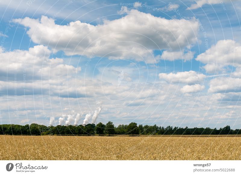 Lusatian pressure cookers Cooling towers Jänschwalde power plant power station Climate change Coal power station Energy industry Emission cooling tower