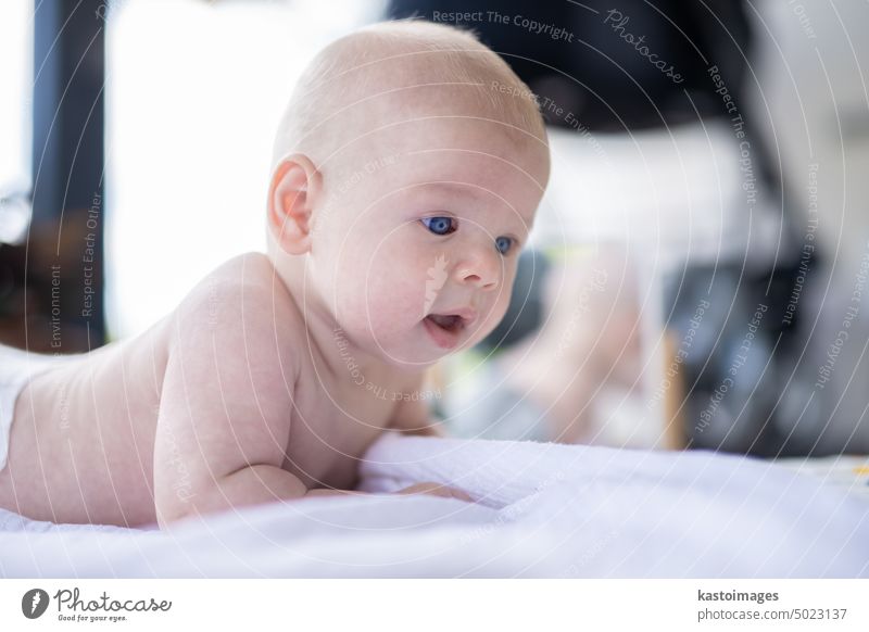 Portrait of little baby boy tummy time. colourful portrait small toddler cute young adorable happy child kid infant childhood beautiful face caucasian white