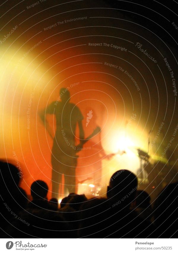 shadow concert Shadow play Concert Guitarist figure pink Light (Natural Phenomenon) Music