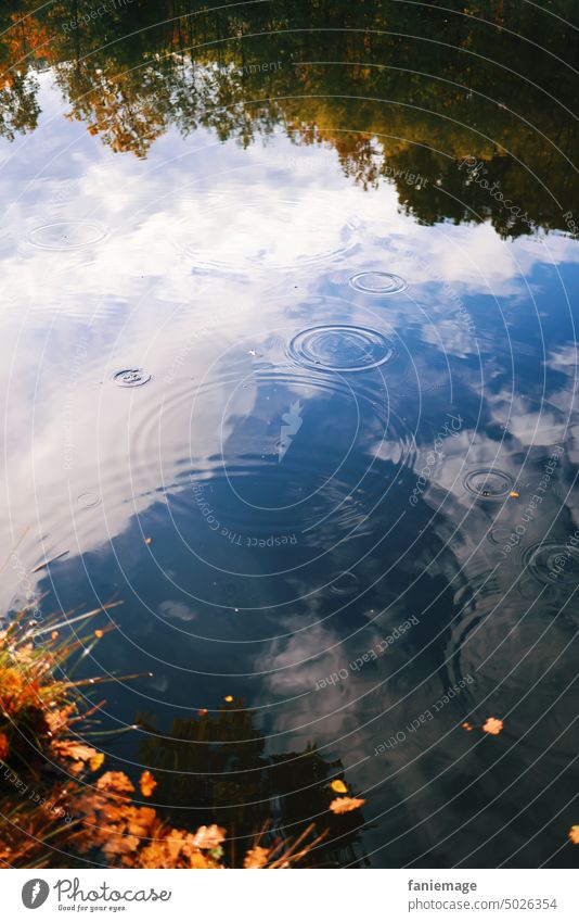 Spieglein Spieglein Spiegelung Himmel Wolken schönes Wetter Herbst herbstlich Herbstlaub warme FArben