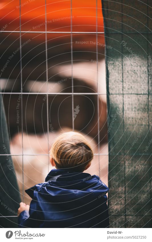 little boy curiously looking through fence at construction site inquisitorial Child Boy (child) Excavator Construction site penned Fence Observe Infancy