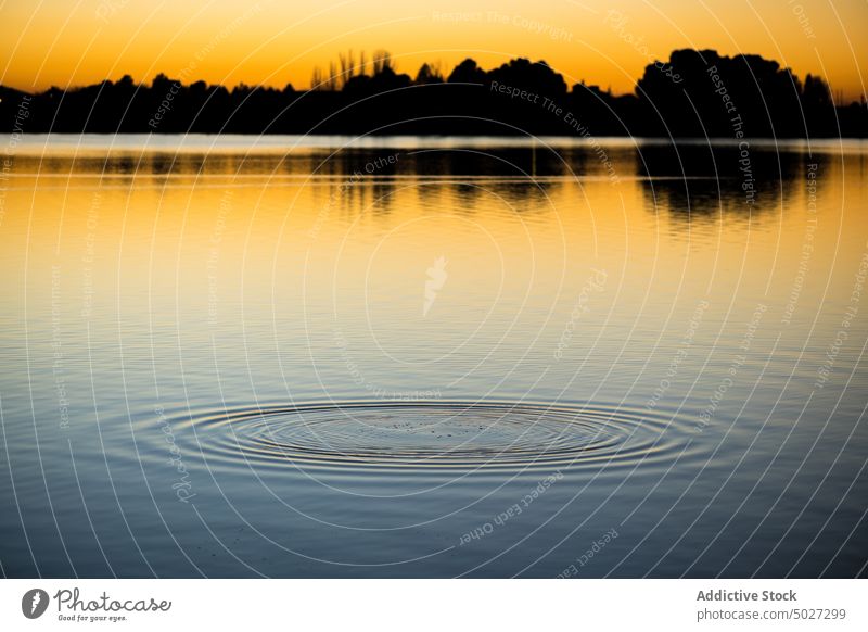 Rippling water at sundown time river shore aqua nature waterside riverside ripple evening sunset tree consuegra flow spain europe toledo coast waterfront lake