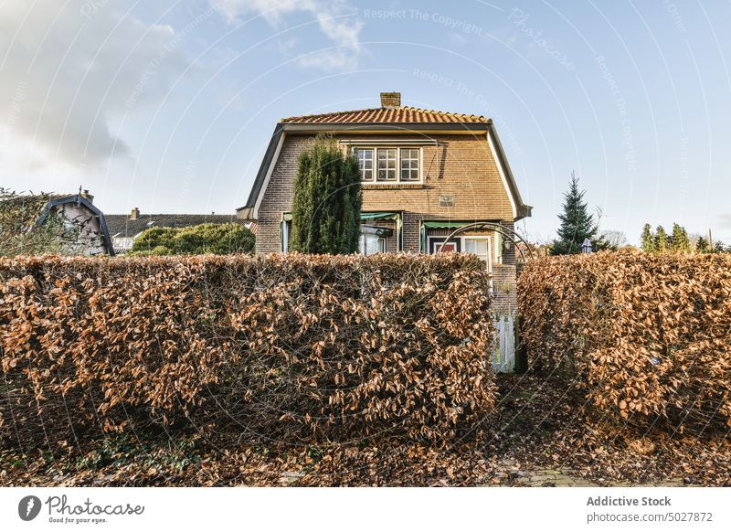 The facade of a building with pavement pathway door house city entrance tree front architecture plant window balcony brick leafs bush doorway home no people