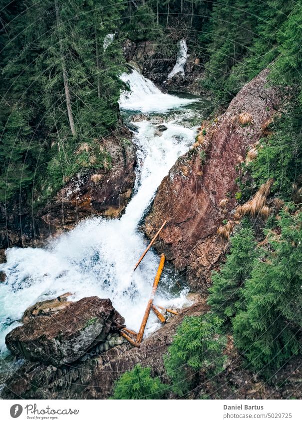 Waterfall in a forest in the Tatra National Park background beautiful Creek environment green landscape mountain natural nature outdoor park river rock scenery