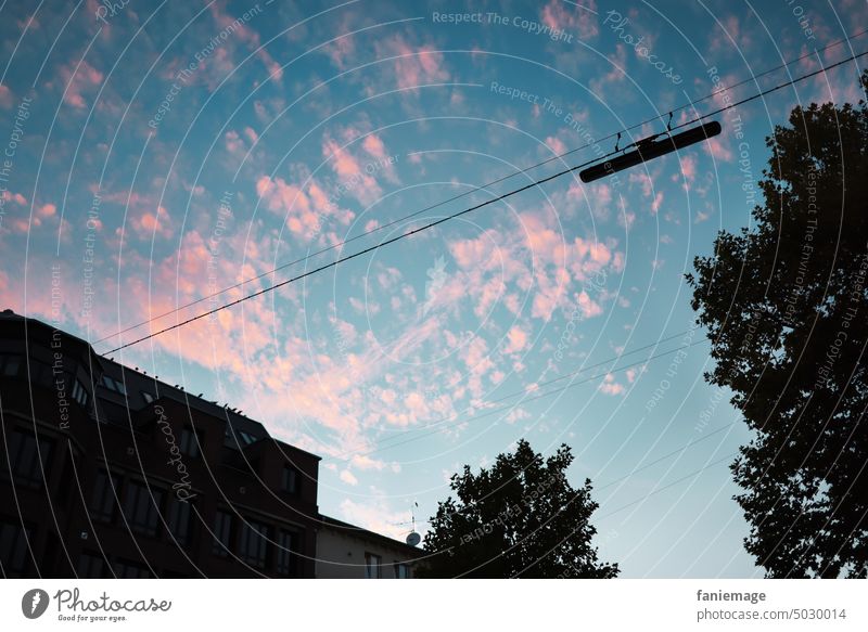 Abendhimmel Wolken Wölkchen rosa Wolke abends Abendstimmung blaue Stunde Himmel Stadt urban Bäume Straßenlaterne Saarbrücken türkis