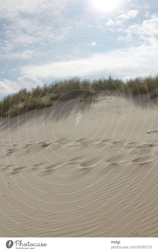 Traces in the sand duene Sand Tracks Marram grass Sky Clouds sunshine Sunlight Beautiful weather Light Shadow Island North Sea Islands Landscape Nature Summer