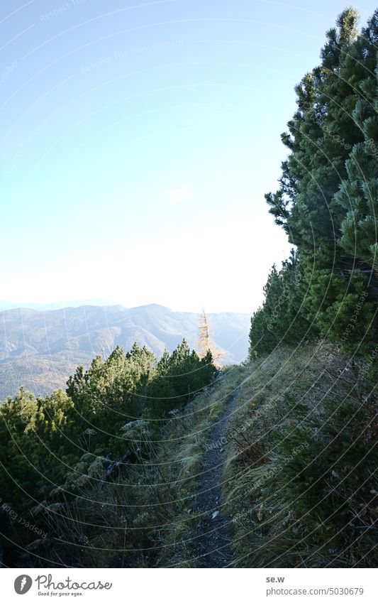 Alpine hiking trail with distant views over the surrounding mountains Alps via ferrata alpine landscape rax Remote View mountain pine Jawbone sunny