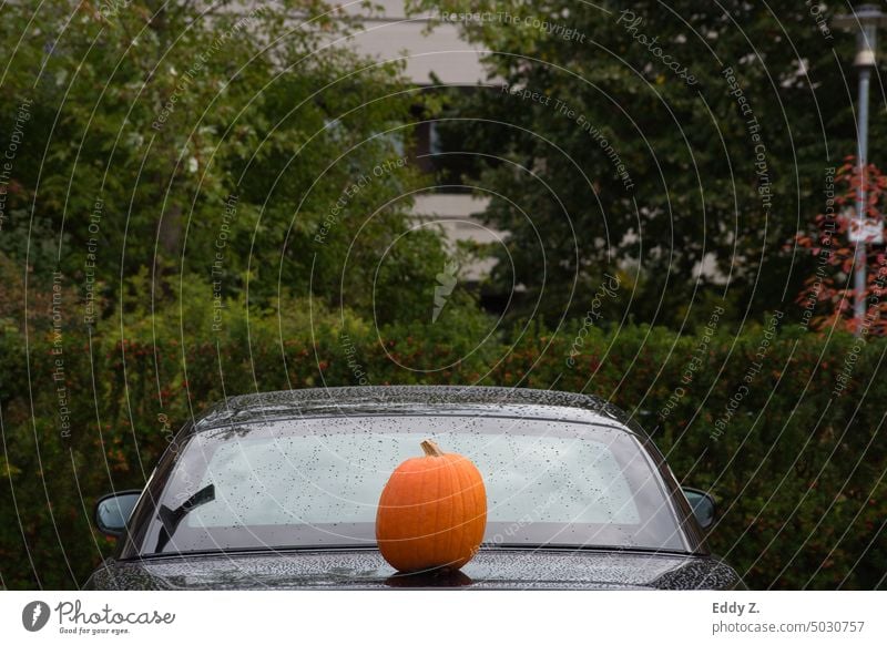 Beautiful and calm symmetrical Halloween composition with car and pumpkin. Hallowe'en Halloween pumpkin Orange Pumpkin Autumn Food Vegetable Thanksgiving