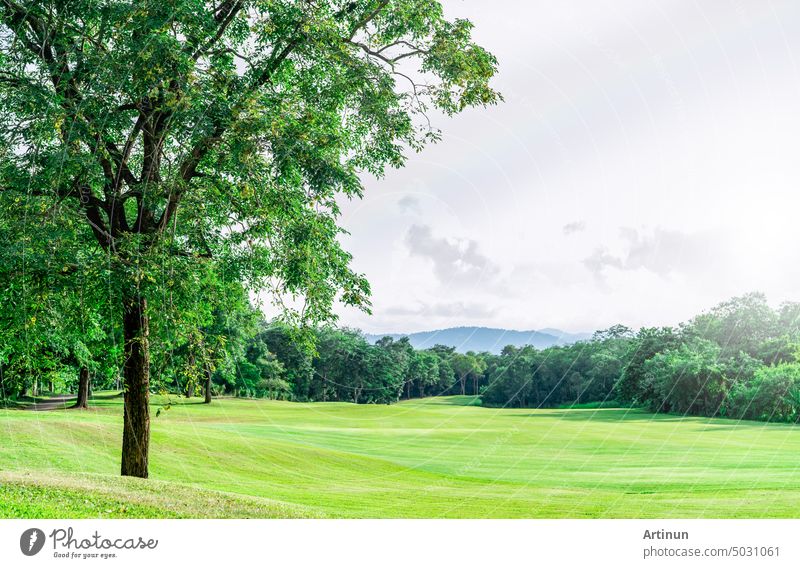 Golf course with green turf landscape. Green grass field with forest and mountain as background. Golf course at hotel or resort. Landscape of golf course and trees. Green sports field. Green field.