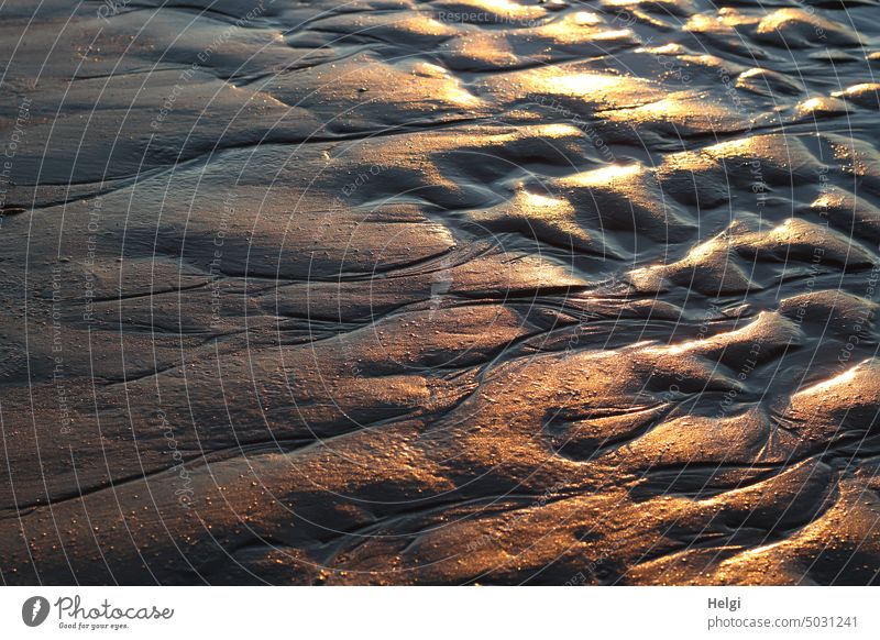 pure gold - low tide on the beach, illuminated by the setting sun Sand Beach Sunlight Sunset Lighting splendour Gold golden gold colored Shadow Evening sun