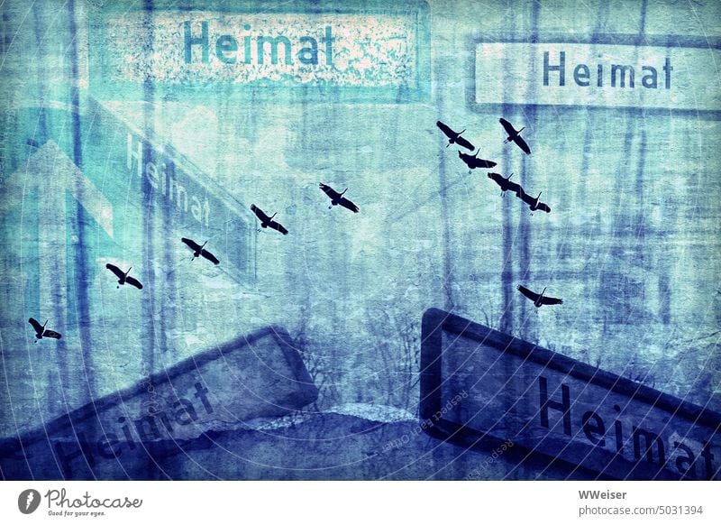 What is home? I wonder if the migratory birds know? Home country Homesickness at home Origins emigration Migration Road marking move house relocation Foreign