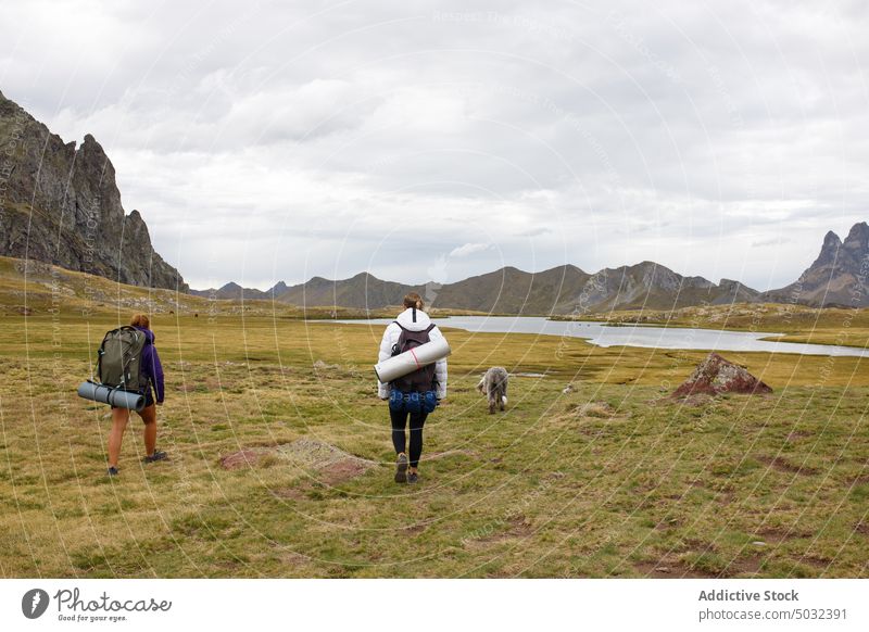 Travelers with dog walking in valley women traveler hike mountain ridge sky cloudy summer female girlfriend backpack roll together pet nature companion canine