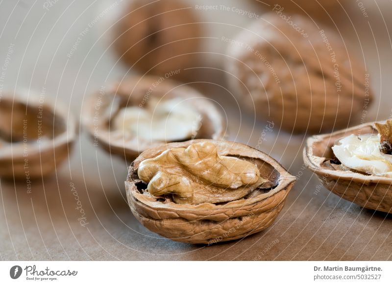 walnuts Walnut Walnuts Nut Nut core shallow depth of field nut fruit Sámen Embryo Memory cotyledons Juglans regia Juglandaceae Walnut plants Food