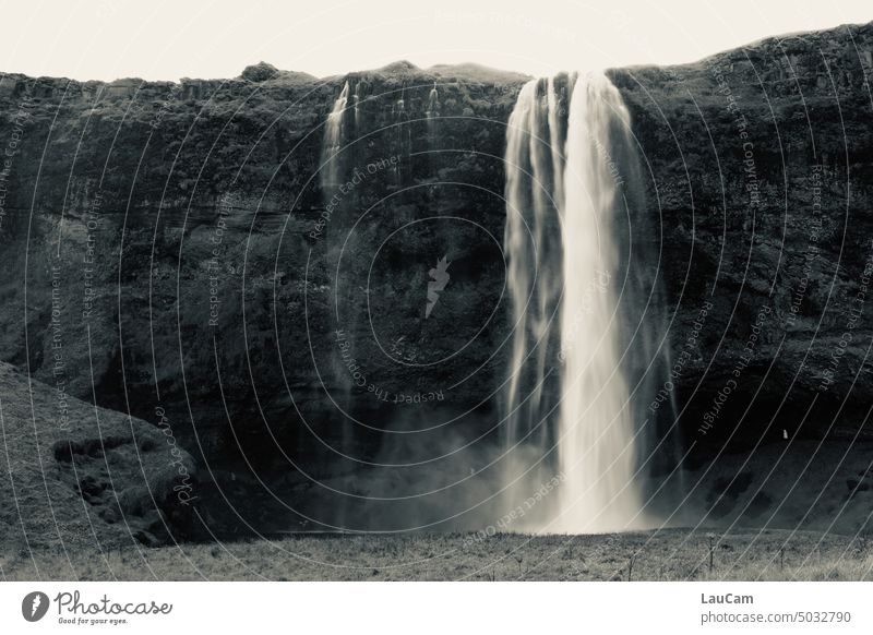 When the curtain falls - Seljalandsfoss Waterfall Seljaland's Fossus River Iceland Nature Wild Rock naturally Wet Landscape Flow Force Gigantic Elements Canyon