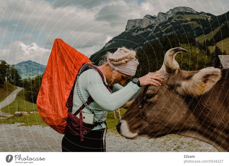 Petting a cow at the Alpsteinsee | Appenzellerland hüttntour Switzerland Hiking Mountain Vacation & Travel Landscape Environment reflection Nature Water