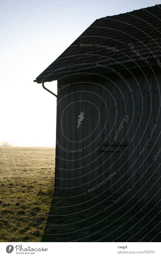 sun comes up, v1.0 Barn Morning fog Fog Sunrise Meadow Wooden hut Bad weather Dark Cold Exterior shot Hut Rope Sky Bright Old Beautiful weather Frost Blue sky