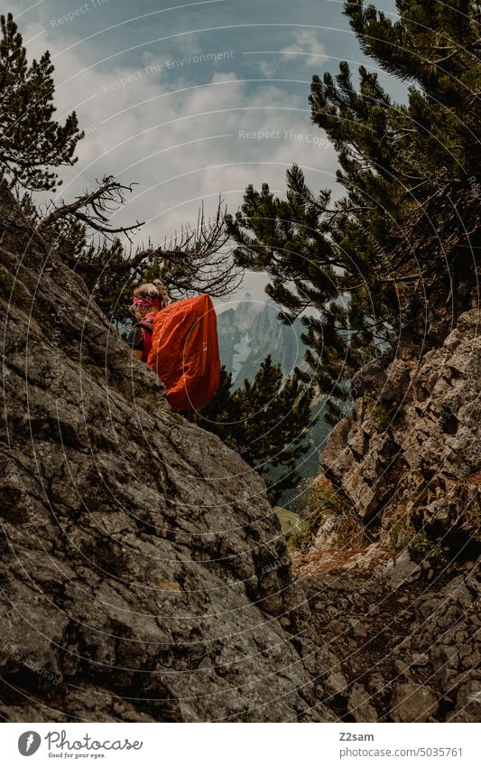 Hiker in the Alpstein hüttntour Switzerland Hiking appenzellerland mountains Colour photo Exterior shot Environment Vacation & Travel Summer Sun