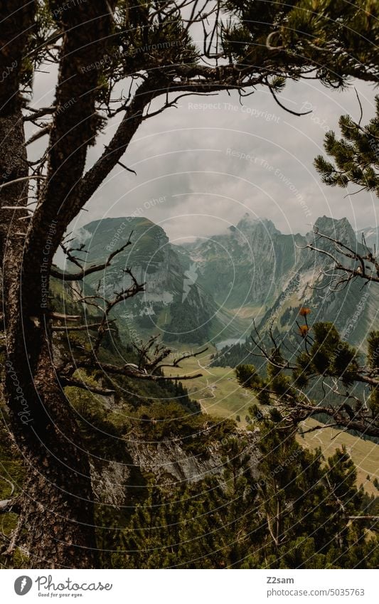 Fälensee | Alpstein hüttntour Switzerland Hiking appenzellerland Lake Mountain lake mountains Colour photo Deserted Exterior shot Environment Vacation & Travel