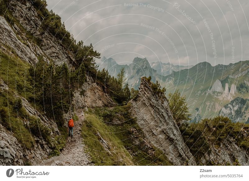 Hiker in the Alpstein hüttntour Switzerland Hiking appenzellerland mountains Colour photo Exterior shot Environment Vacation & Travel Green Haze Summer Sun