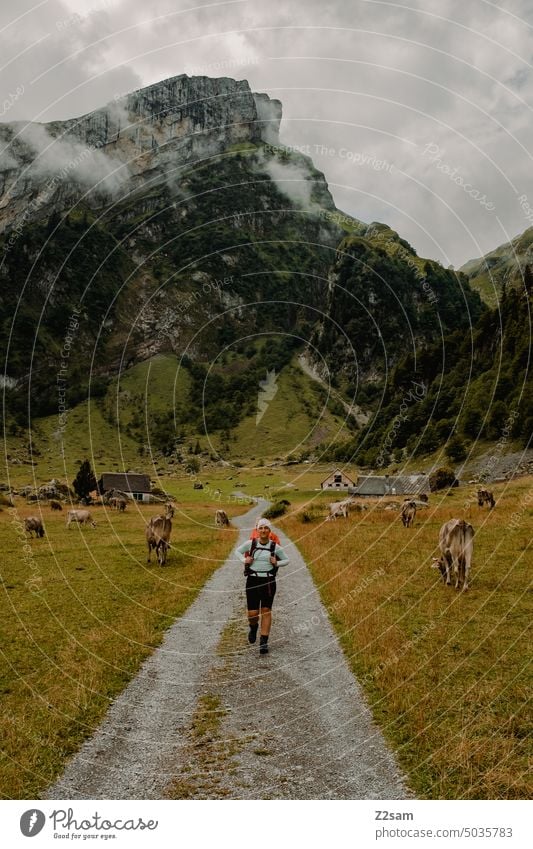 Hiking in Appenzellerland Alpstein hüttntour Switzerland appenzellerland hiking trail long-distance hiking trail multi-day tour Mountain Landscape Colour photo