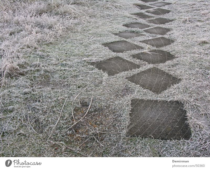 The way into... Foreign Grass Winter Cold Ambiguous Meadow Sidewalk Going Puzzle Lanes & trails Frost Anonymous Loneliness Stone Walking run Paving tiles