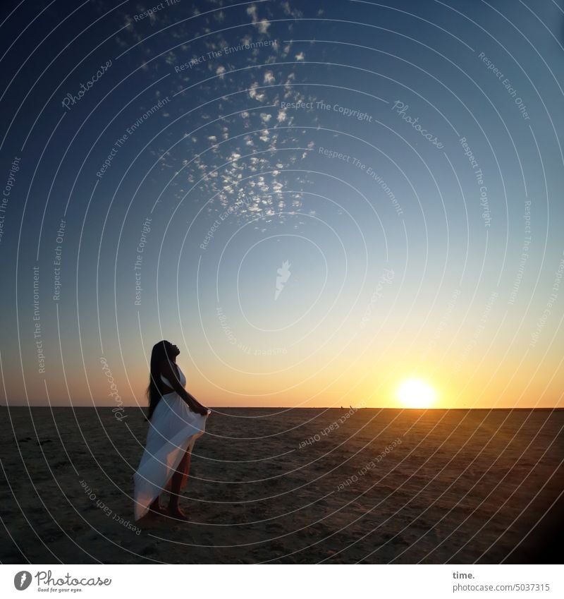 star thaler Woman Dress Evening coast Sky Sunlight Clouds Sunbeam Back-light Room tranquillity Stand wide To enjoy relax Sand Horizon recover Beach Long-haired