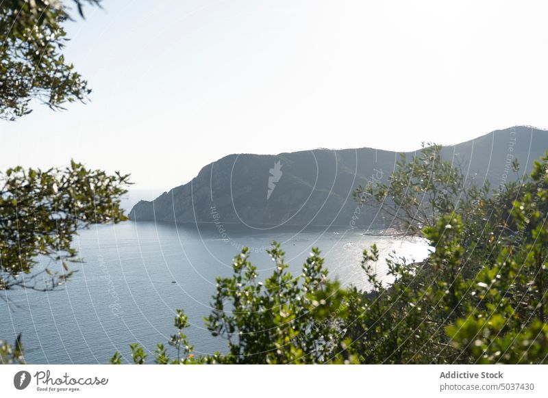 Green mountains near sea in morning slope tree sunlight nature early sunrise sky seascape ridge breathtaking picturesque scenic calm weather lush foliage