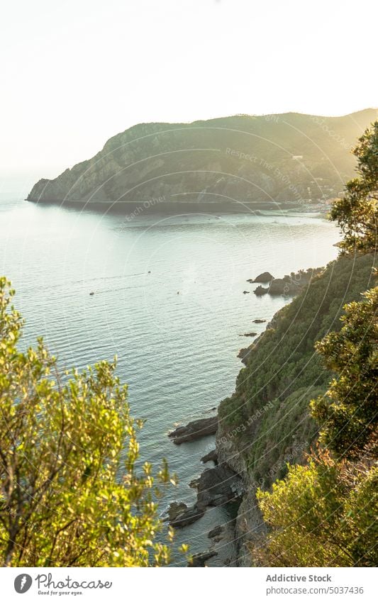 Town near mountain on seashore town sunset slope house tree lush resort evening coast nature sundown water seaside cottage La Spezia Monterosso al Mar range