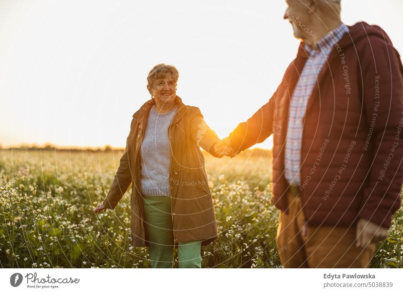 Senior couple in a field in autumn at sunset walking trip backpack senior couple woman two people mature together old retired joy love happiness adult female