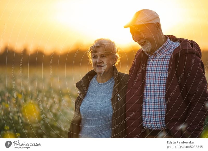 Senior couple in a field in autumn at sunset walking trip backpack senior couple woman two people mature together old retired joy love happiness adult female