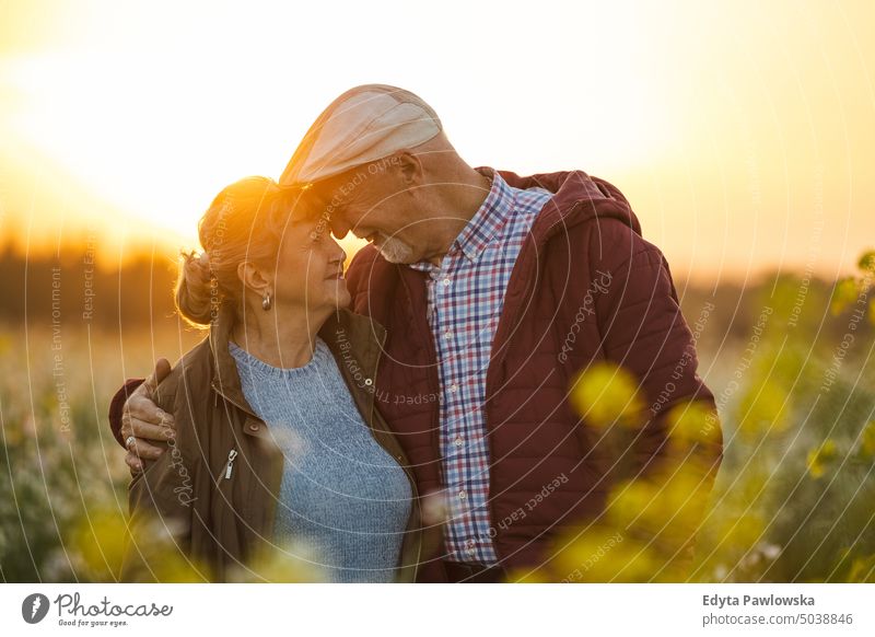 Senior couple in a field in autumn at sunset walking trip backpack senior couple woman two people mature together old retired joy love happiness adult female