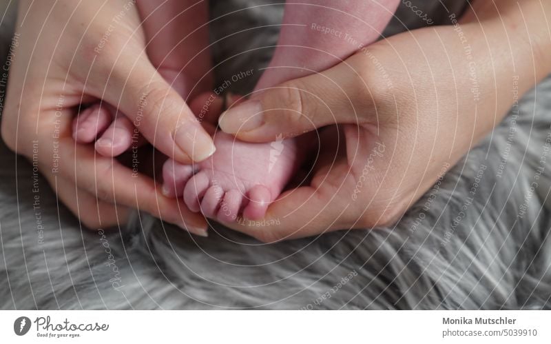 Small feet Baby Child Feet Toes Barefoot Infancy Lie 0 - 12 months Cute Close-up Detail Skin Legs Human being Colour photo Interior shot Happy Life Emotions