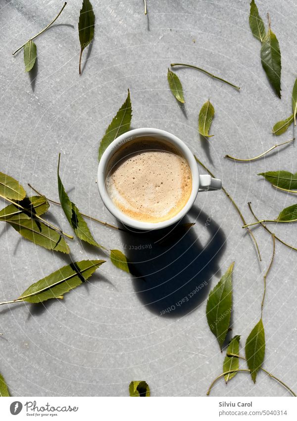 Closeup of Espresso coffee cup seen from above with fallen leaves on autumn marble table concept hot morning yellow lay creative pen view office work female