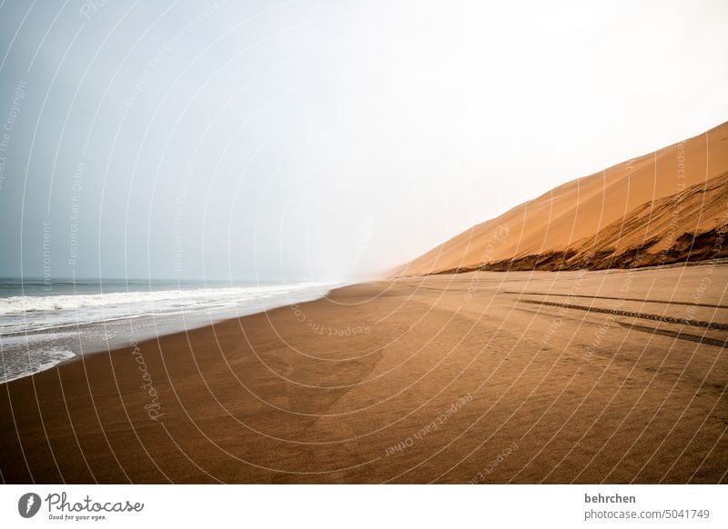 INCLUNG coast Fog Clouds especially Exterior shot sandwich harbour Desert Africa Namibia Sand Ocean Far-off places Wanderlust Longing travel Colour photo