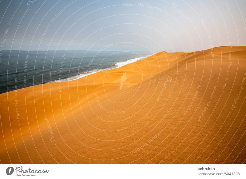 when the sea kisses the desert Namibia Africa Desert Sand Ocean ocean wide Far-off places Wanderlust Longing travel Colour photo Landscape Vacation & Travel