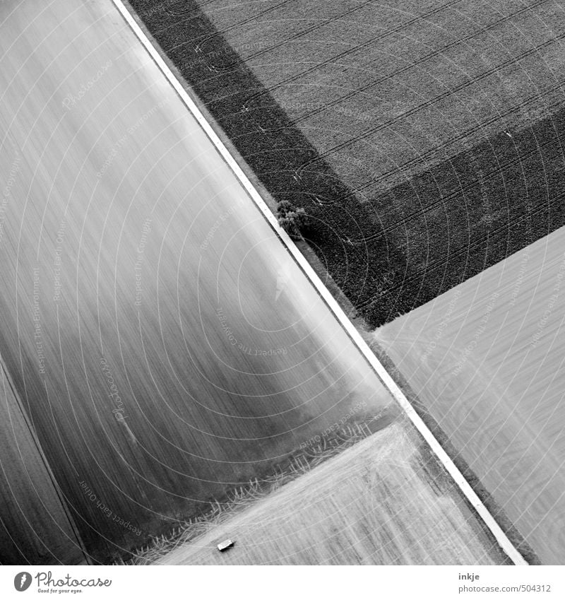 from the air (from the passenger seat of the Modeps) Agriculture Forestry Field Deserted Footpath Transport Traffic infrastructure Road traffic Street