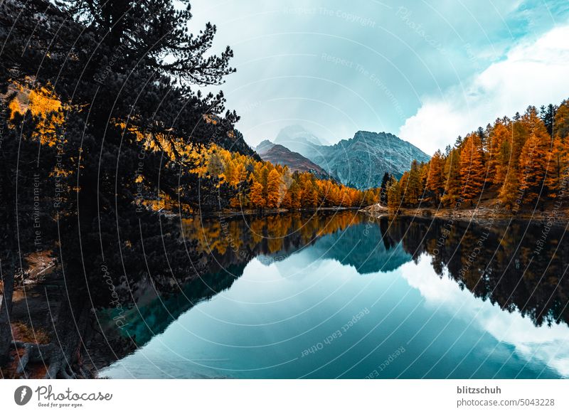 Lake Palpuogna in Grisons Autumn mountain lake Landscape Autumnal landscape Nature Mountain Vacation & Travel Alps Environment Tourism Relaxation Trip Freedom