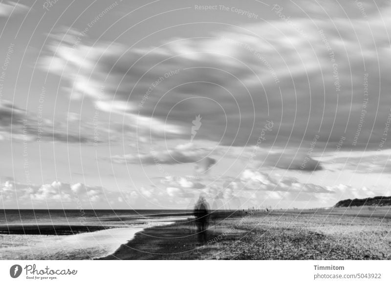 Moments of movement of clouds, water and people Clouds Sky Water Waves White crest North Sea Beach Sand dunes Ocean Vacation & Travel Denmark