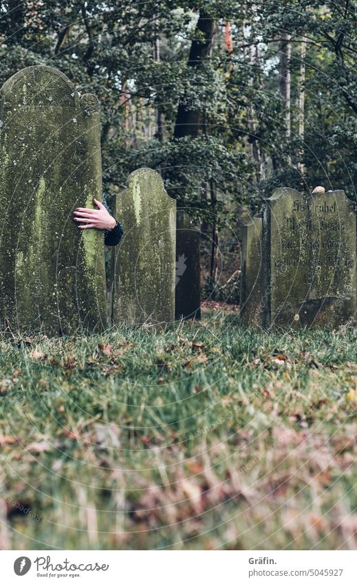 Ice Cold Hand Cemetery Creepy Death Exterior shot Dark Grief Colour photo Deserted Tombstone Old Grave Religion and faith Eternity Funeral Hallowe'en Forest