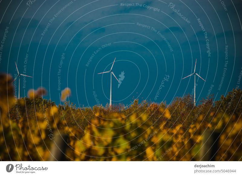 ( W W ) Vineyards and wind turbines get along well. Wind turbines background Energy industry Eco-friendly wind power Pinwheel Wind energy plant Renewable energy