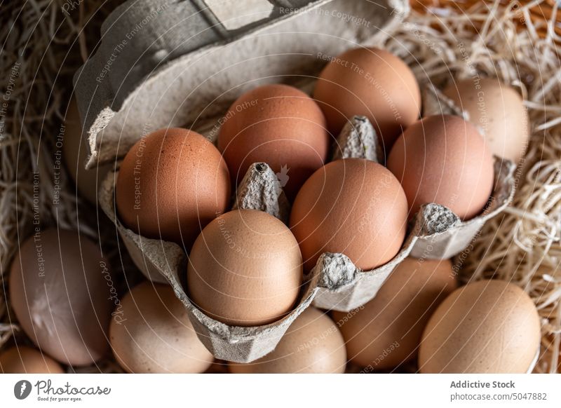 Set of chicken eggs in carton box container raw hay organic natural fresh farm food uncooked product eggshell row cardboard many whole rustic package nutrient