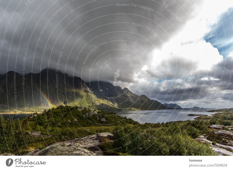 on the edge (of the world) Nature Landscape Air Water Clouds Summer Weather Bad weather Bushes Rock Mountain Coast Fjord Ocean Norwegian Sea Island Lofotes